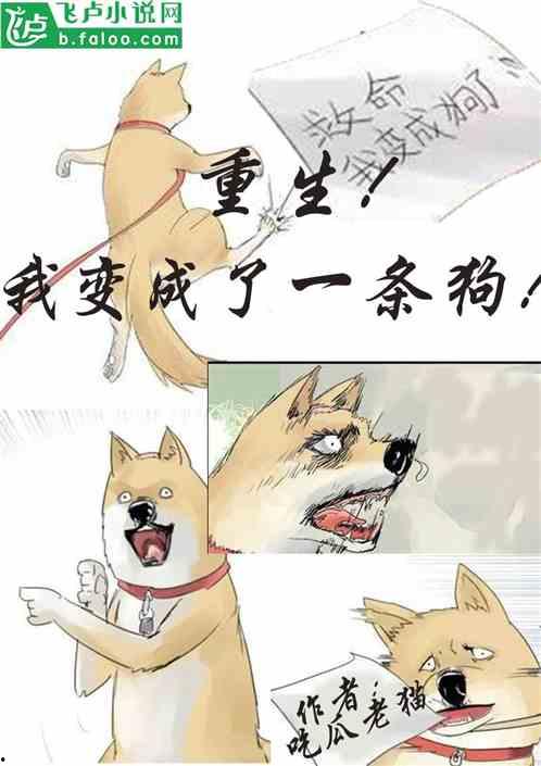 娱乐圈吃瓜小狗小说,吃瓜小狗的甜蜜复仇之旅